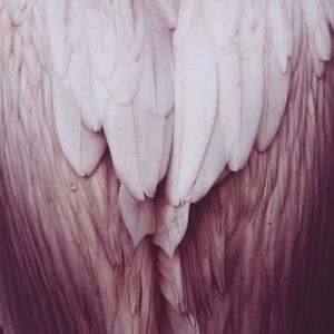 Meet your Posher, Reann